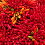 South American hot sauce